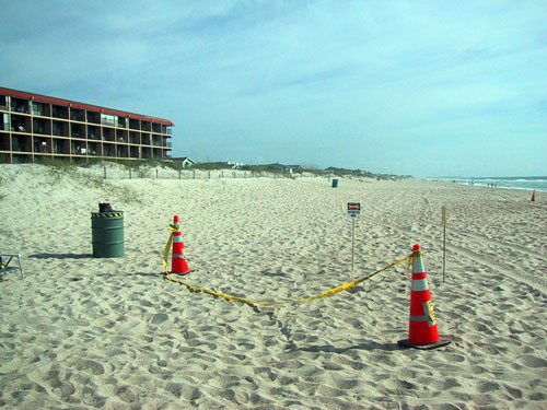 Carolina Beach Video Shoot
